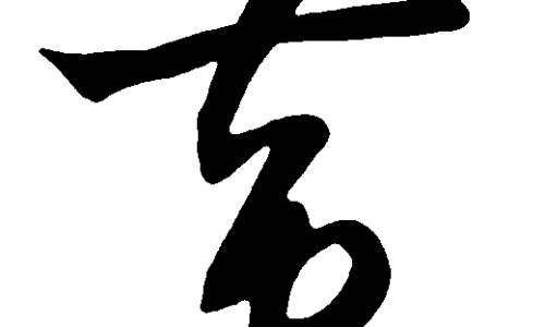 炮制山慈菇的功效网 - 为你提供炮制山慈菇的功效和作用、炮制山慈菇的功效和作用