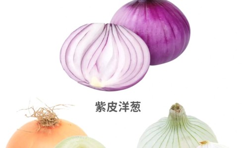 炮制山慈菇的功效网 - 为你提供炮制山慈菇的功效和作用、炮制山慈菇的功效和作用
