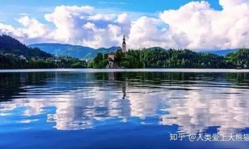 山慈菇炮制方法-炮制山慈菇的功效网 - 为你提供炮制山慈菇的功效和作用、炮制山慈菇的功效和作用
